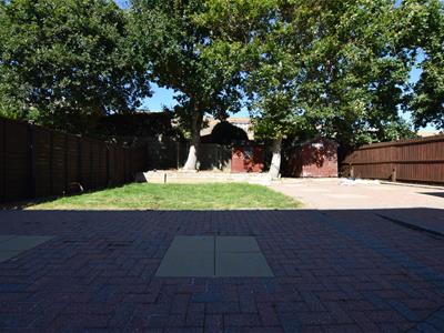 Picture 14